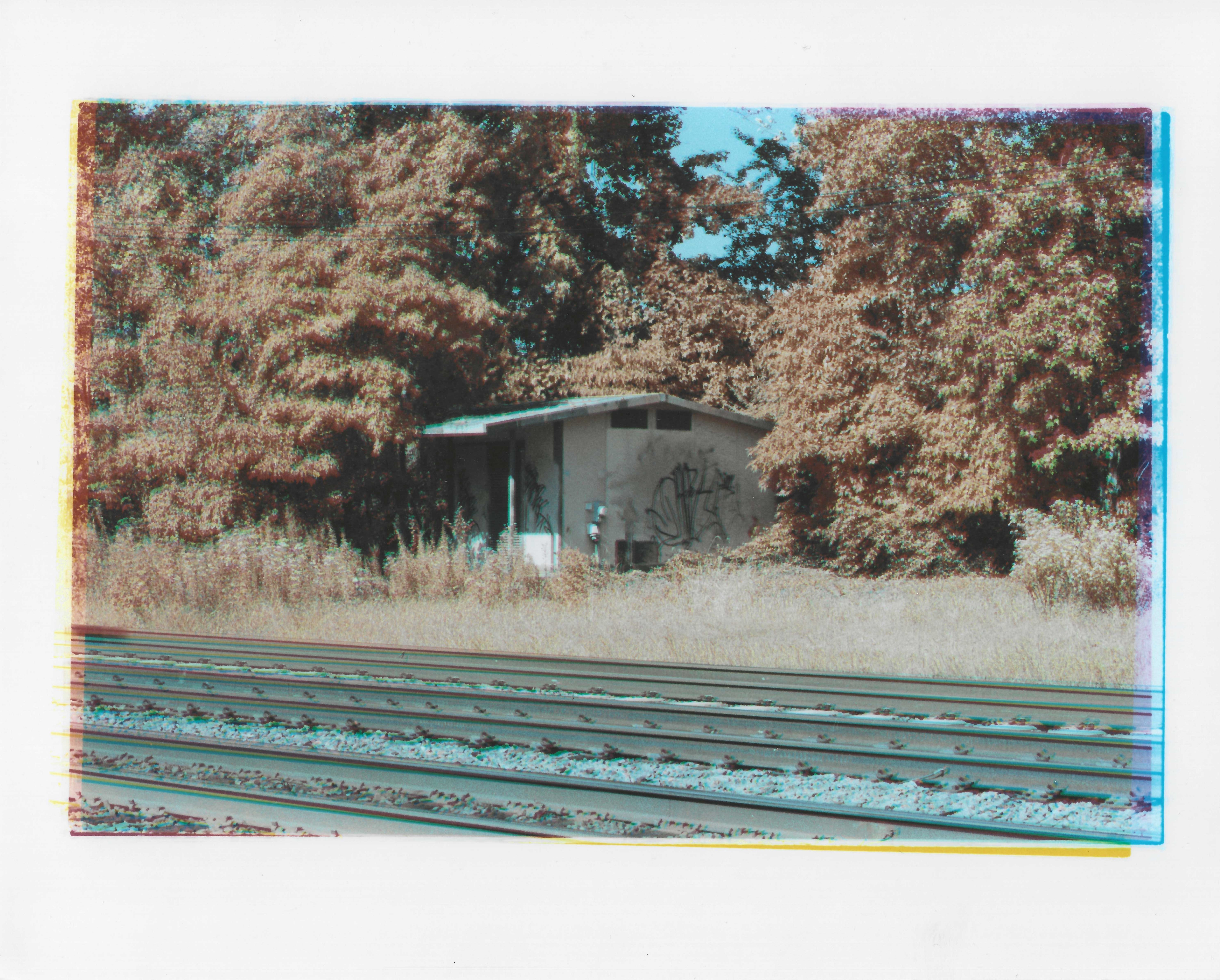 infrared trichrome photo