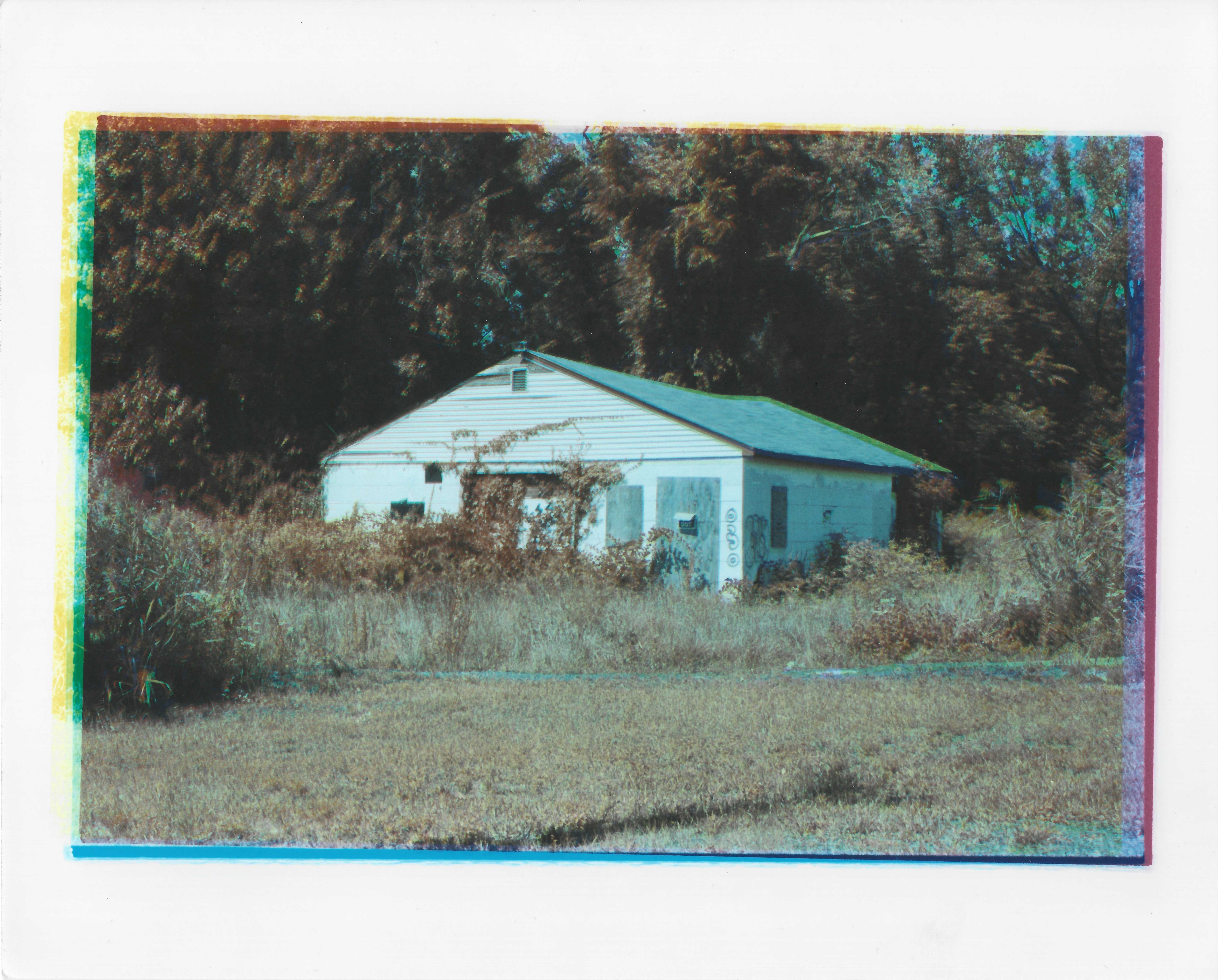 infrared trichrome photo